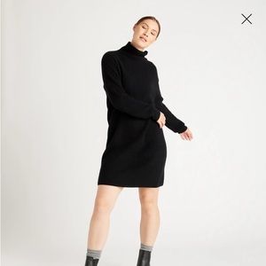 Quince Mongolian Cashmere Sweater Dress